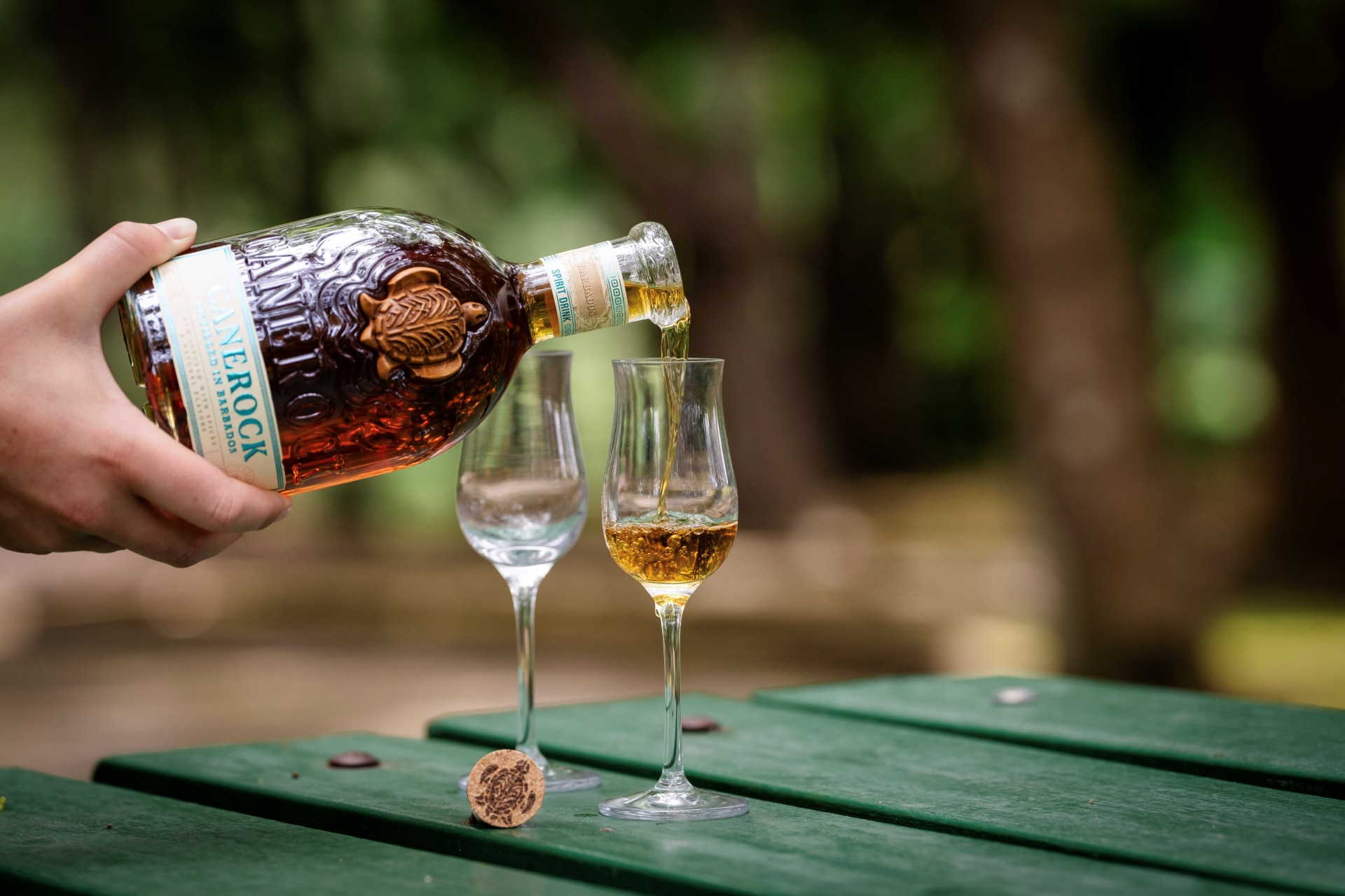 Canerock Barbados 2025 2