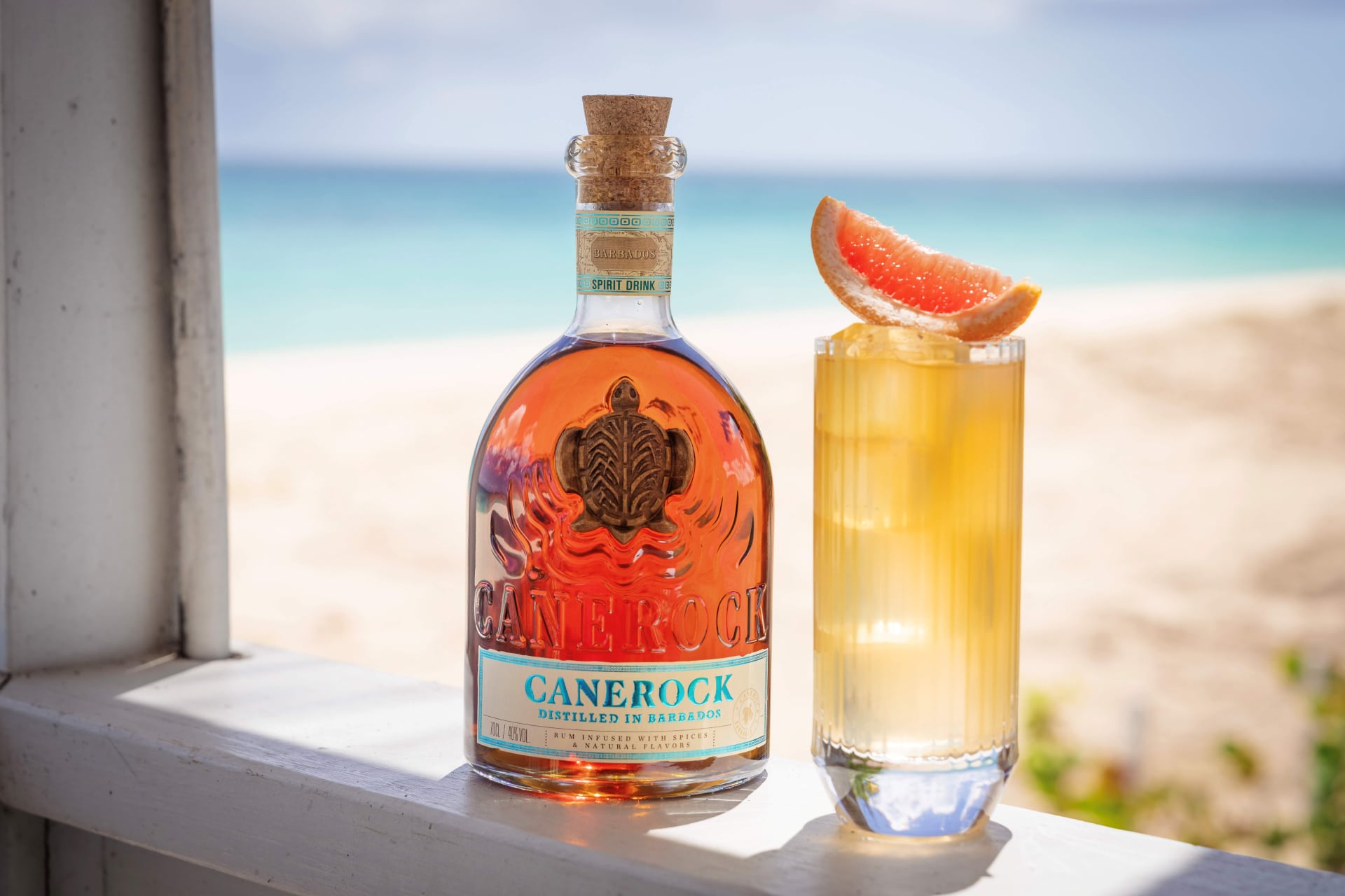 Canerock Barbados 2025 38