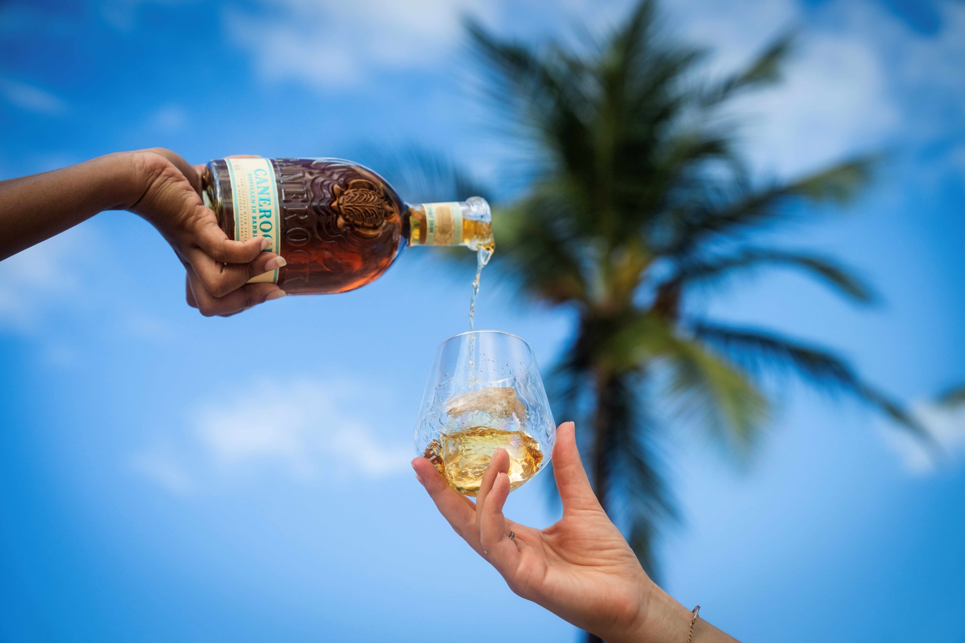 Canerock Barbados 2025 50