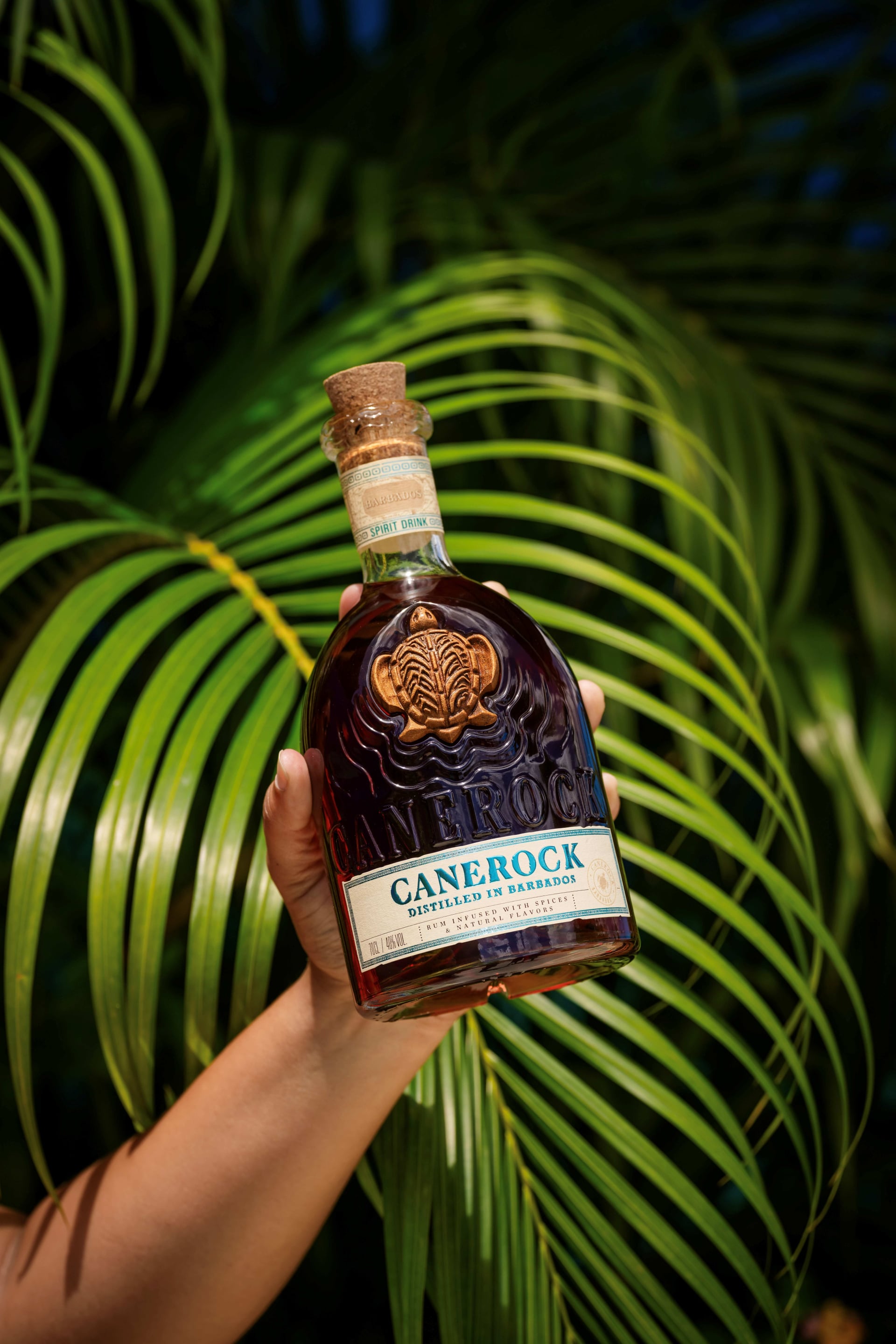 Canerock Barbados 2025 66