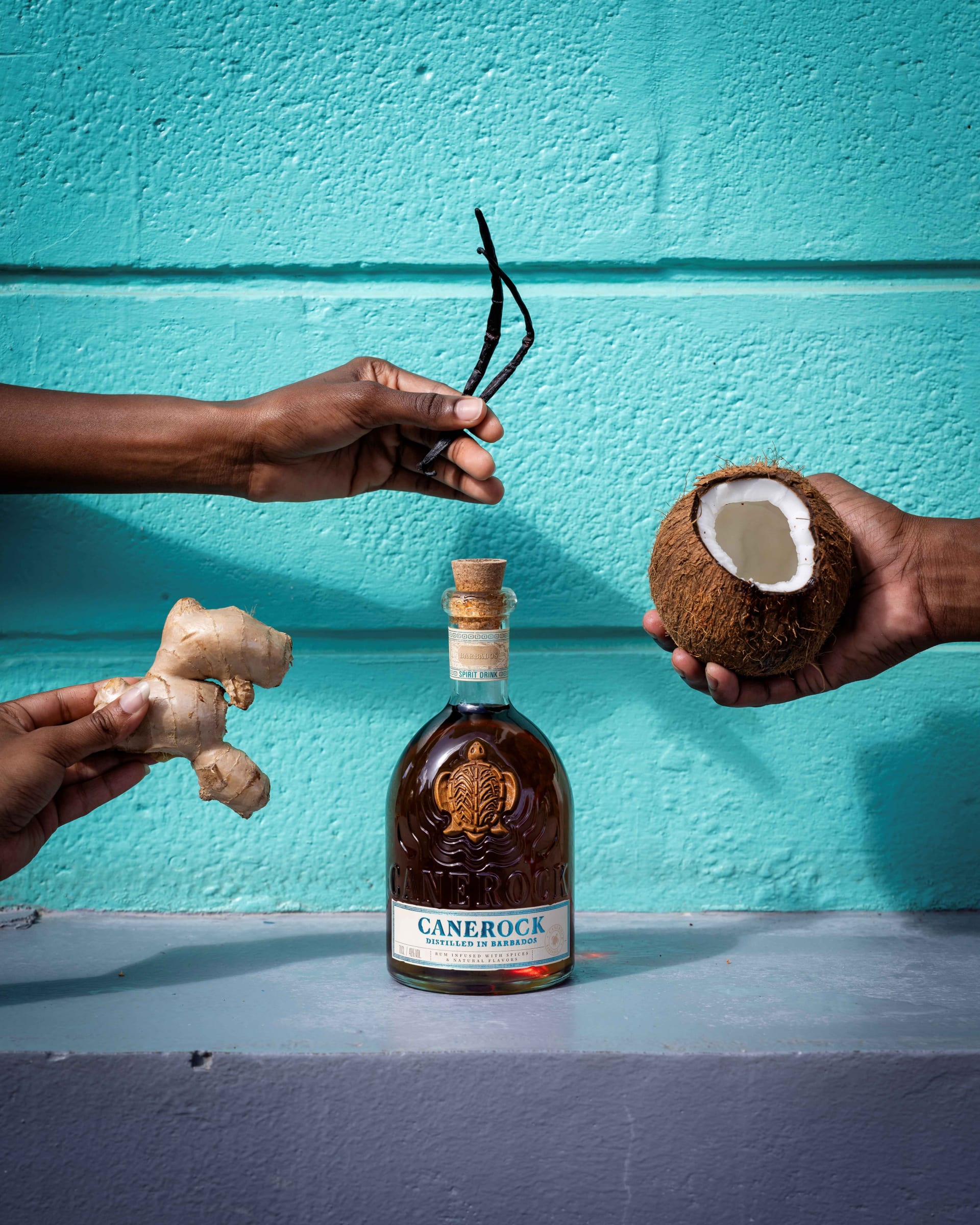 Canerock Barbados 2025 68