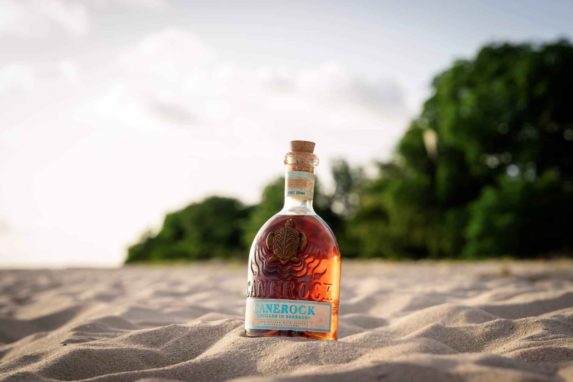 Canerock Barbados 2025 69