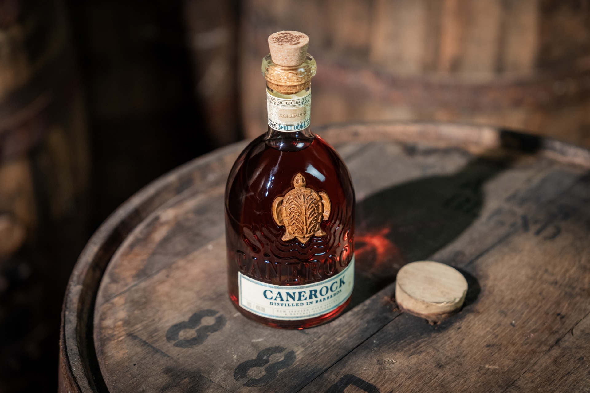 Canerock Barbados 2025 9