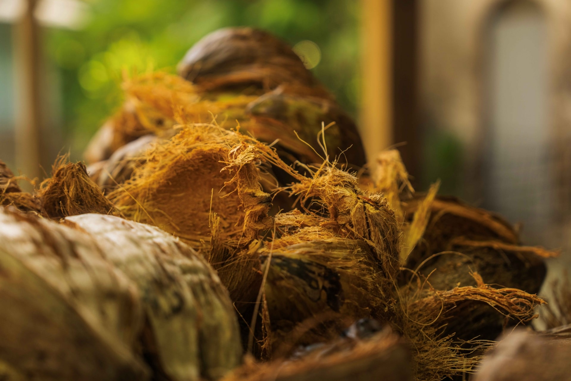 Distillery Barbados 2025 128 (1)