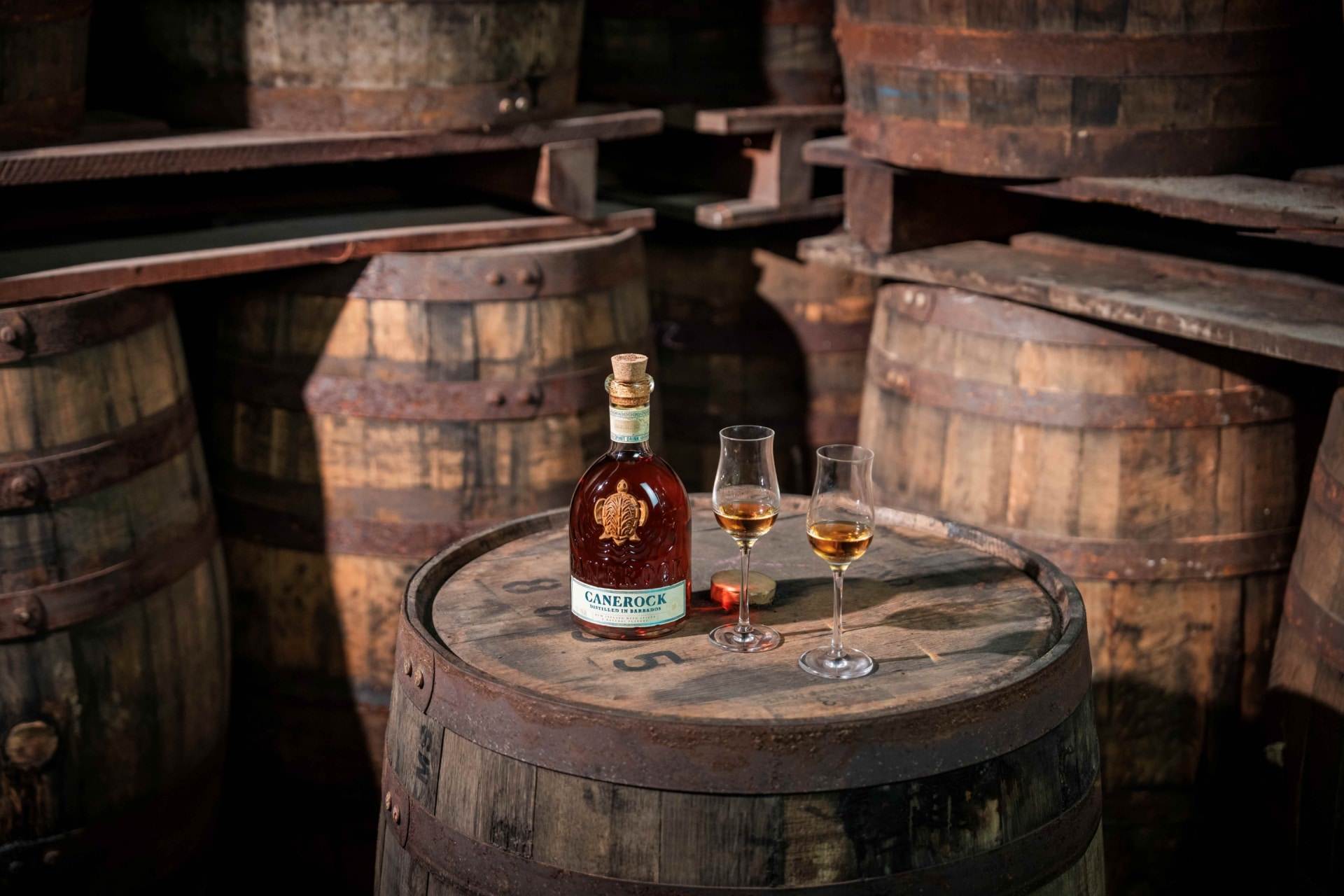 Canerock Barbados 2025 17