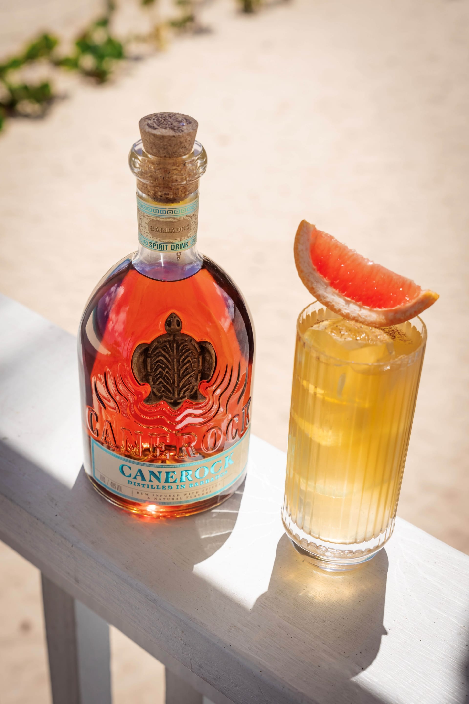 Canerock Barbados 2025 37