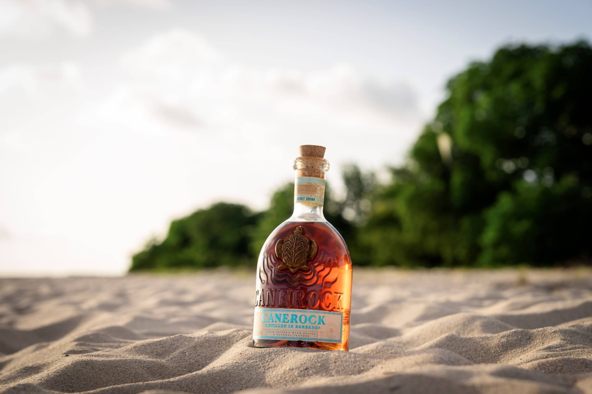 Canerock Barbados 2025 69